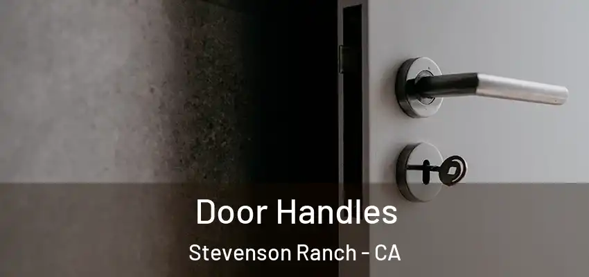  Door Handles Stevenson Ranch - CA