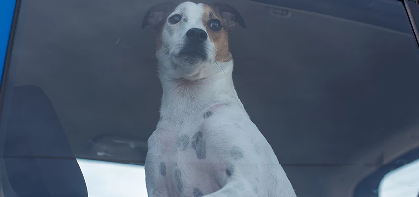 Car Lockout Solutions in Stevenson Ranch, California